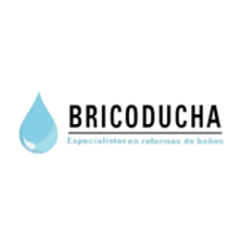 Bricoducha