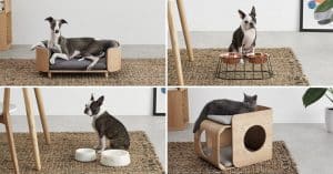 muebles para mascotas
